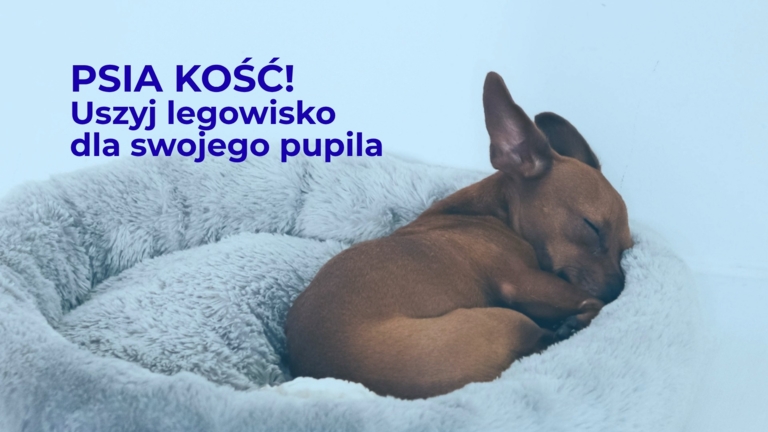 Warsztaty: Psia kość! Uszyj legowisko dla pupila