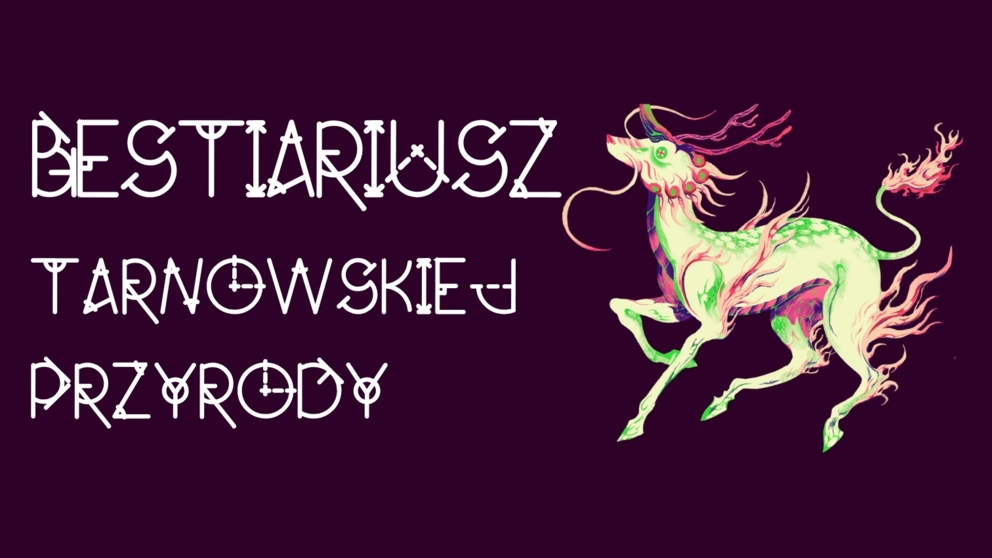 Okładka: Spacer przyrodniczy: Bestiariusz tarnowskiej przyrody